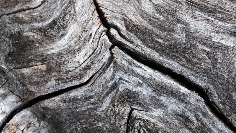 Split wood, Montana-Crans Switzerland.jpg